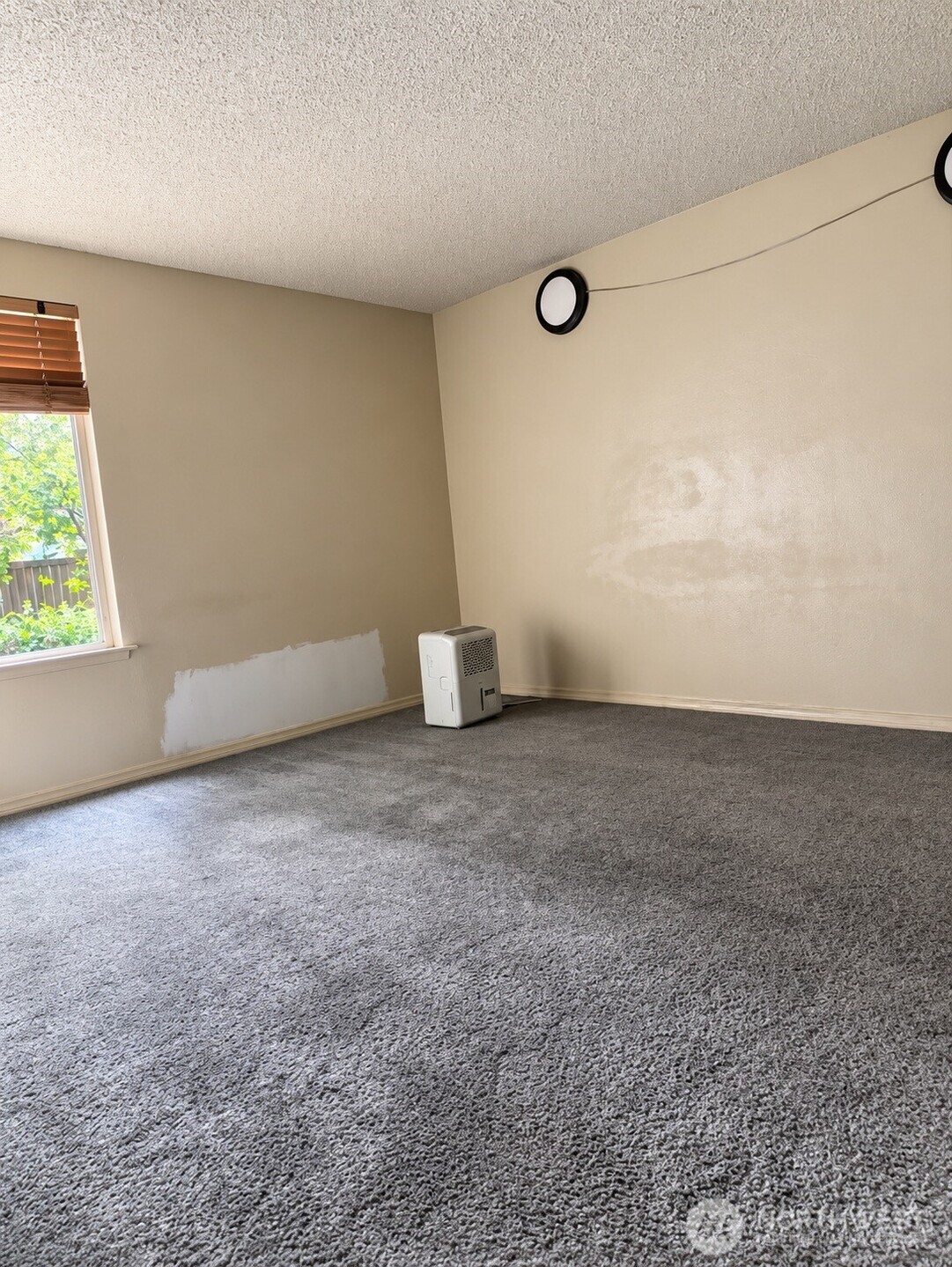 32110 45th Place B-4 Property Photo 4