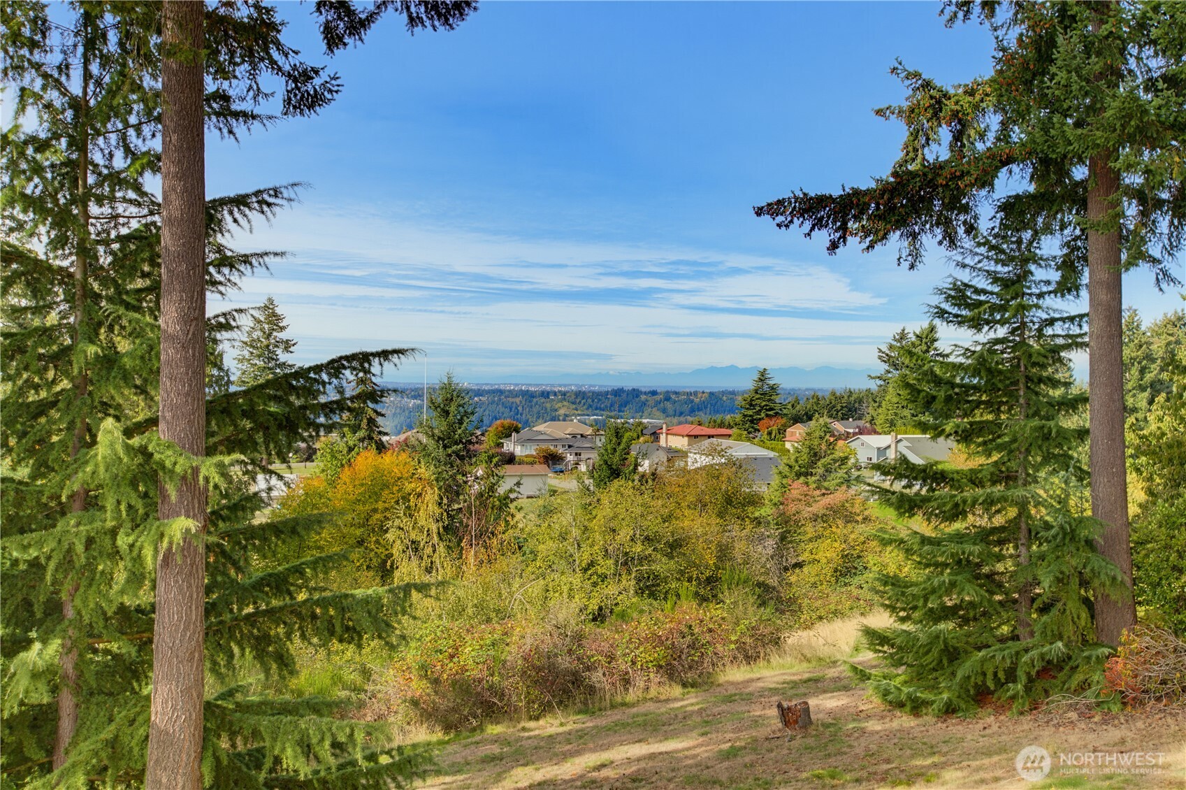 5120 171st Avenue Property Photo 25