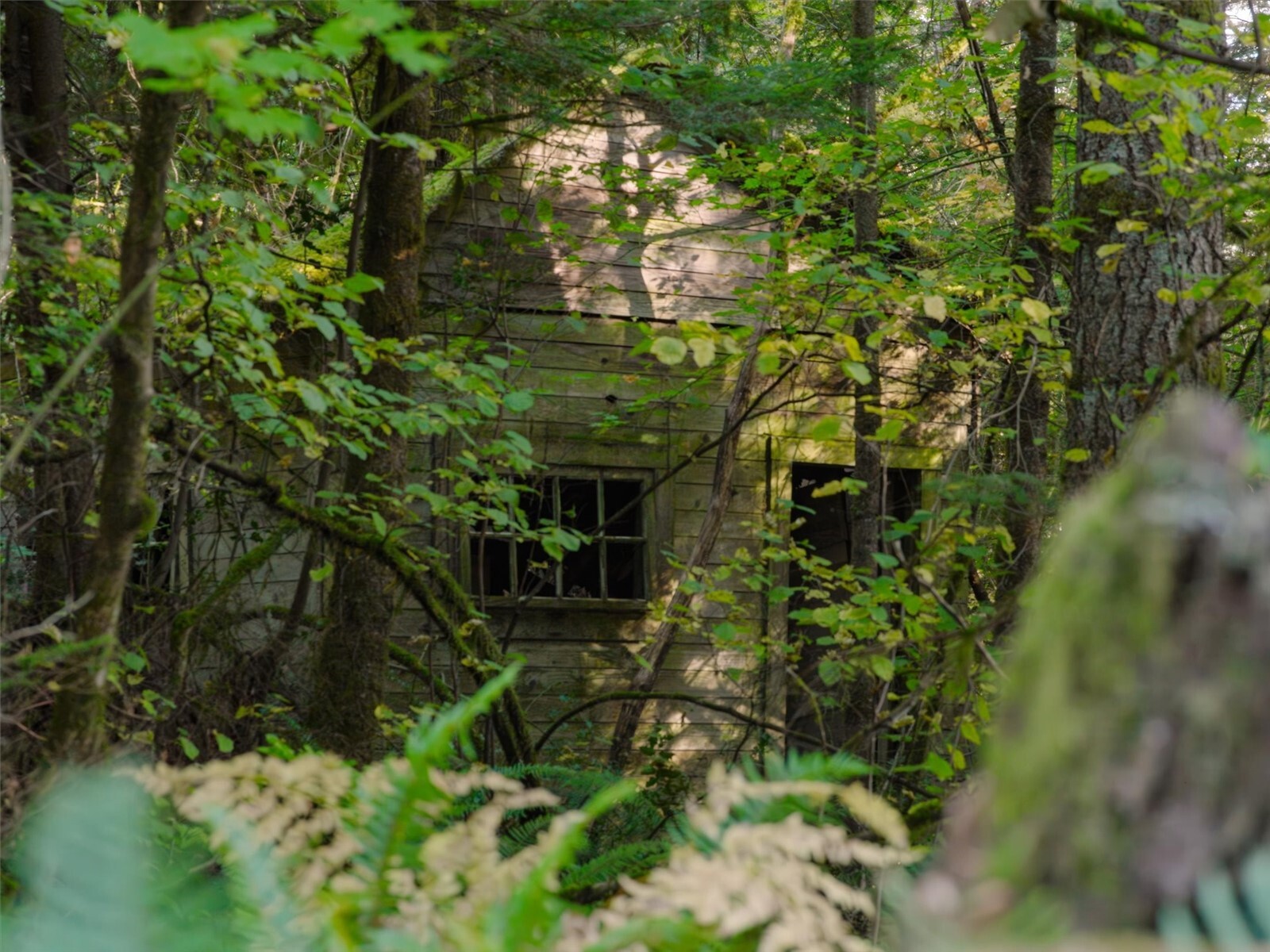 0 North Fork Road Property Photo 9