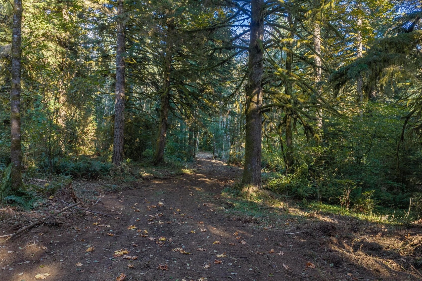 0 North Fork Road Property Photo 11