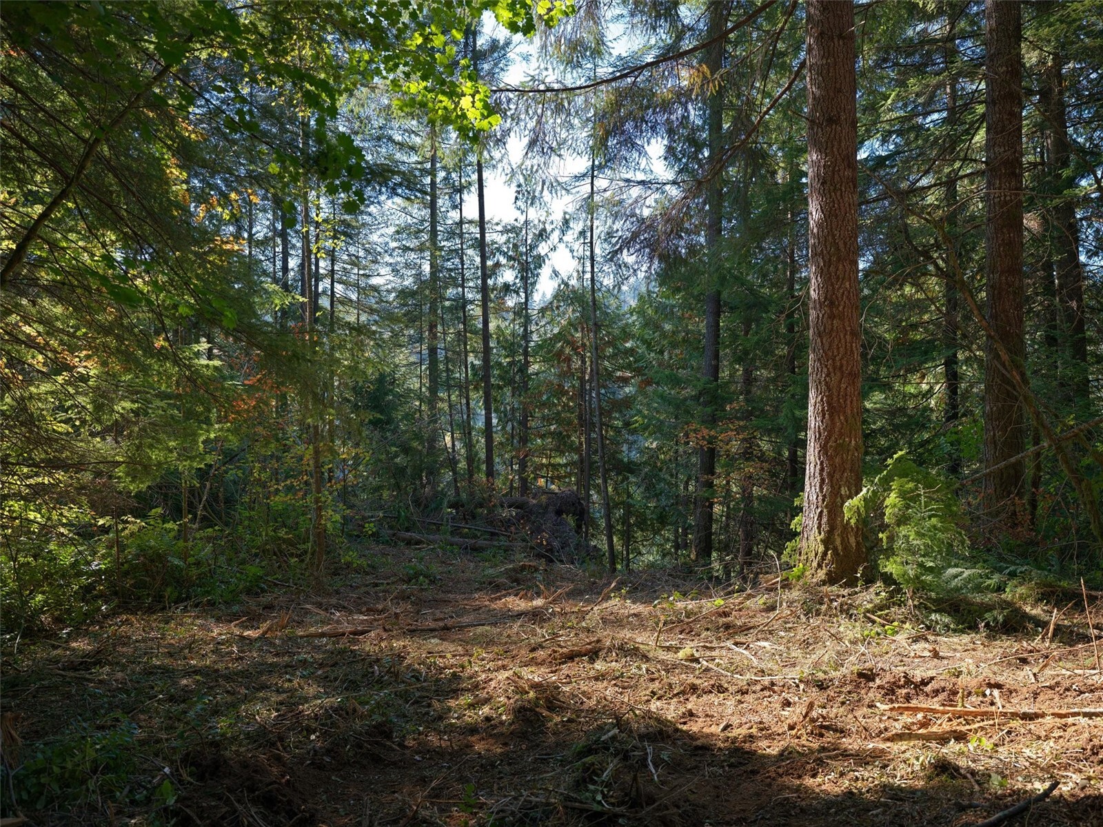 0 North Fork Road Property Photo 12