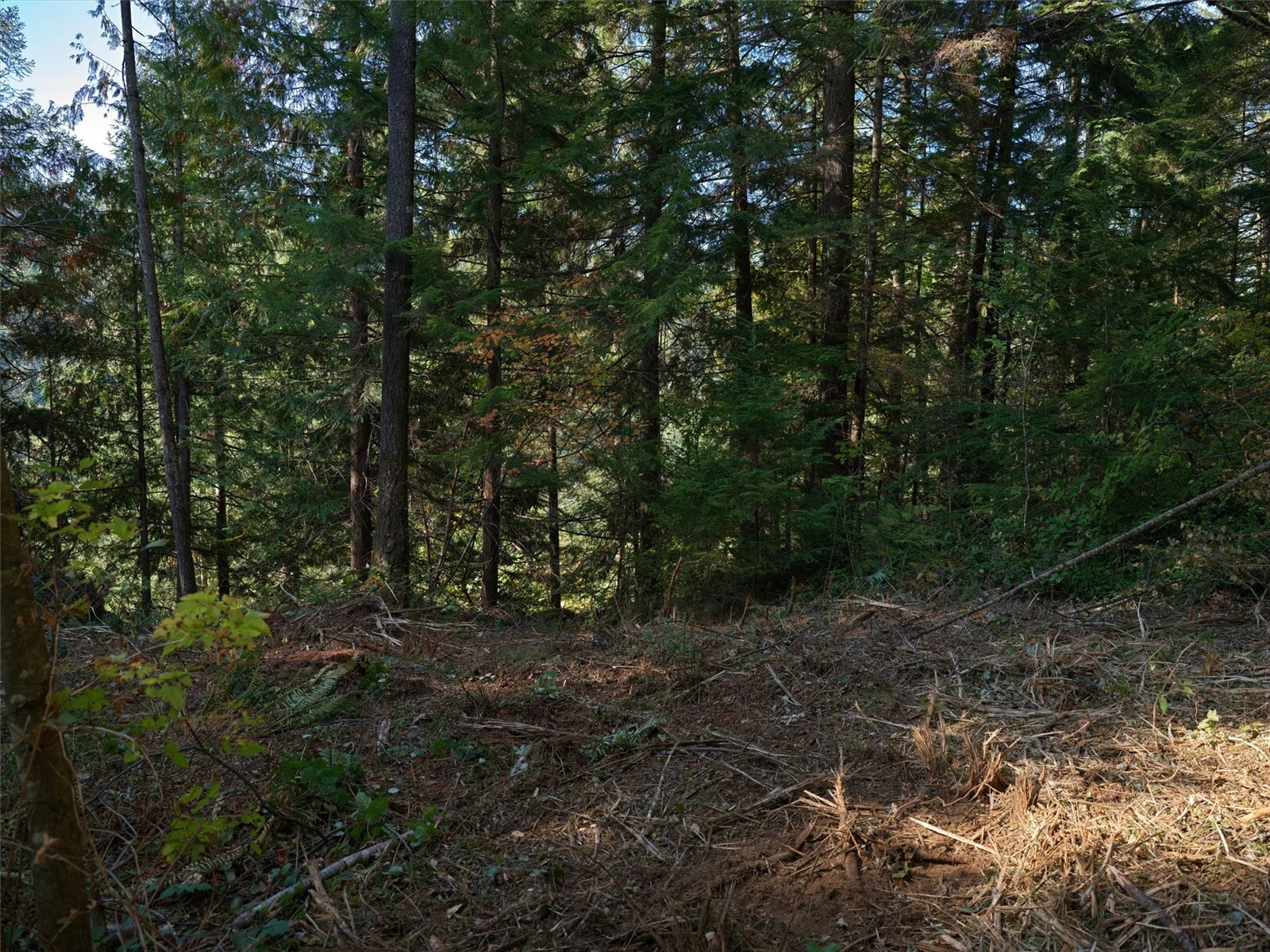 0 North Fork Road Property Photo 19