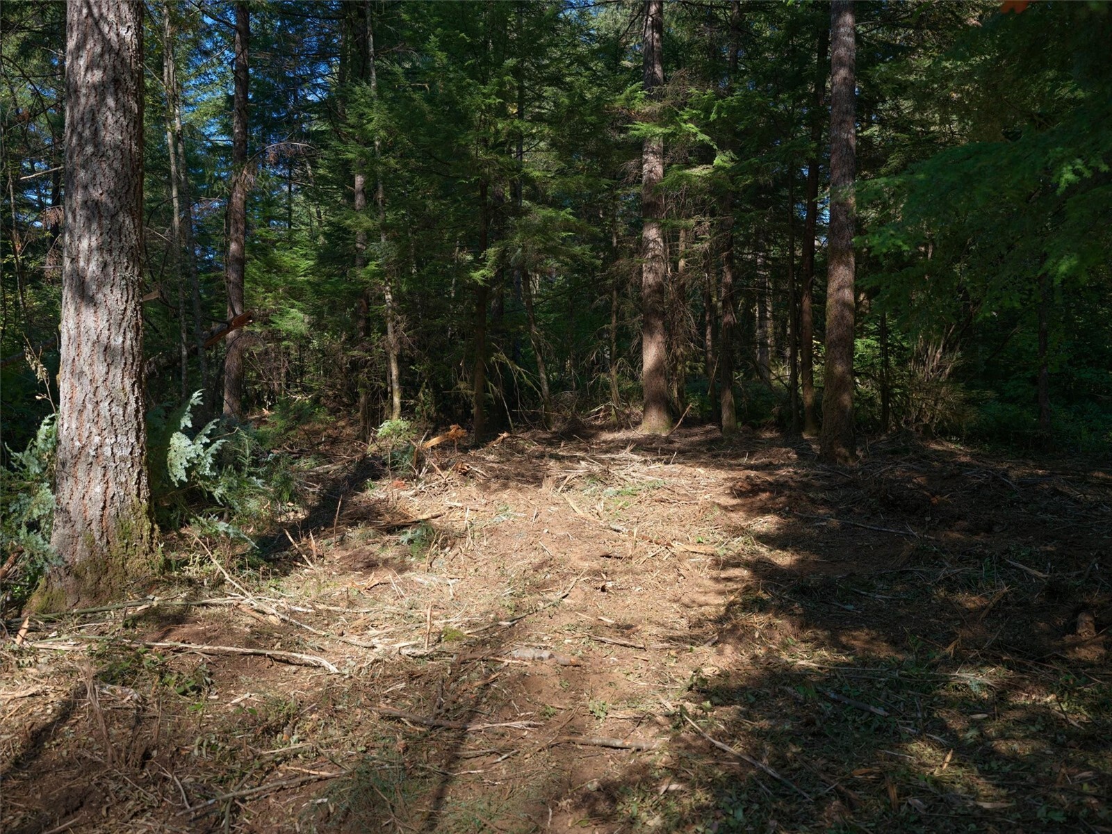 0 North Fork Road Property Photo 20