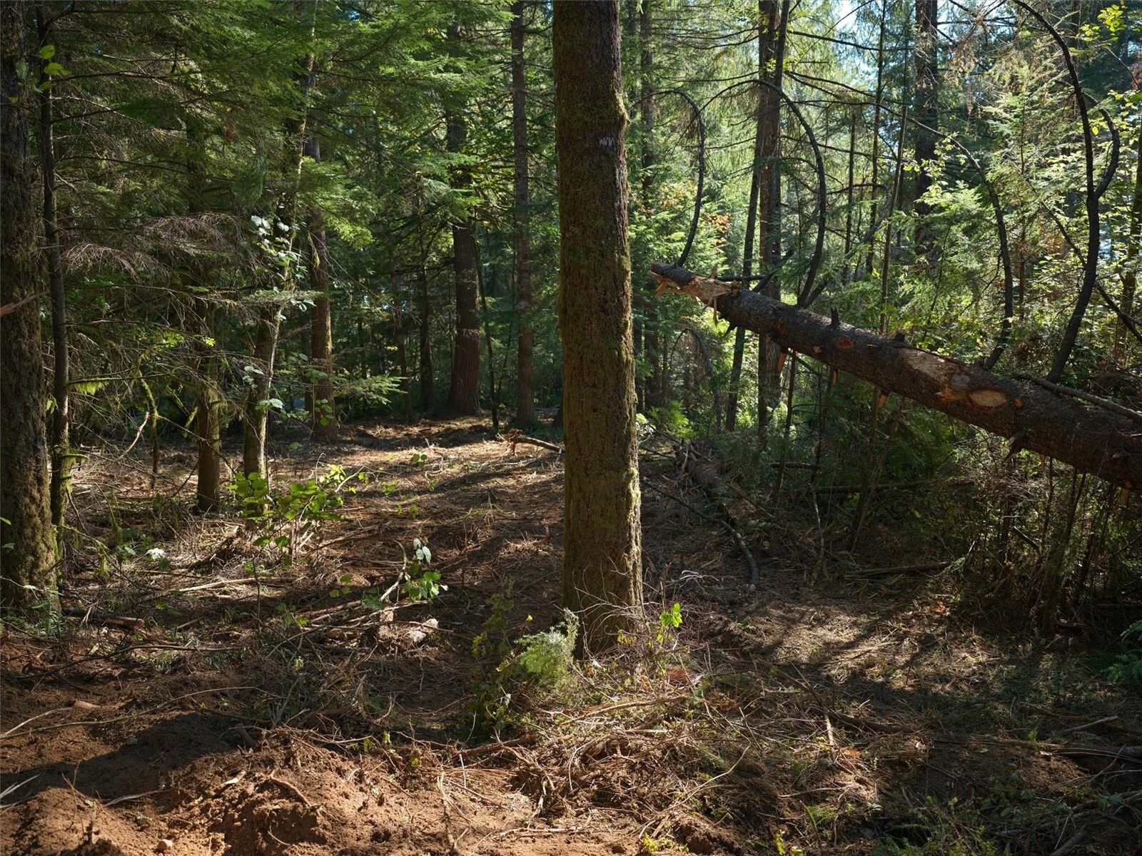 0 North Fork Road Property Photo 21