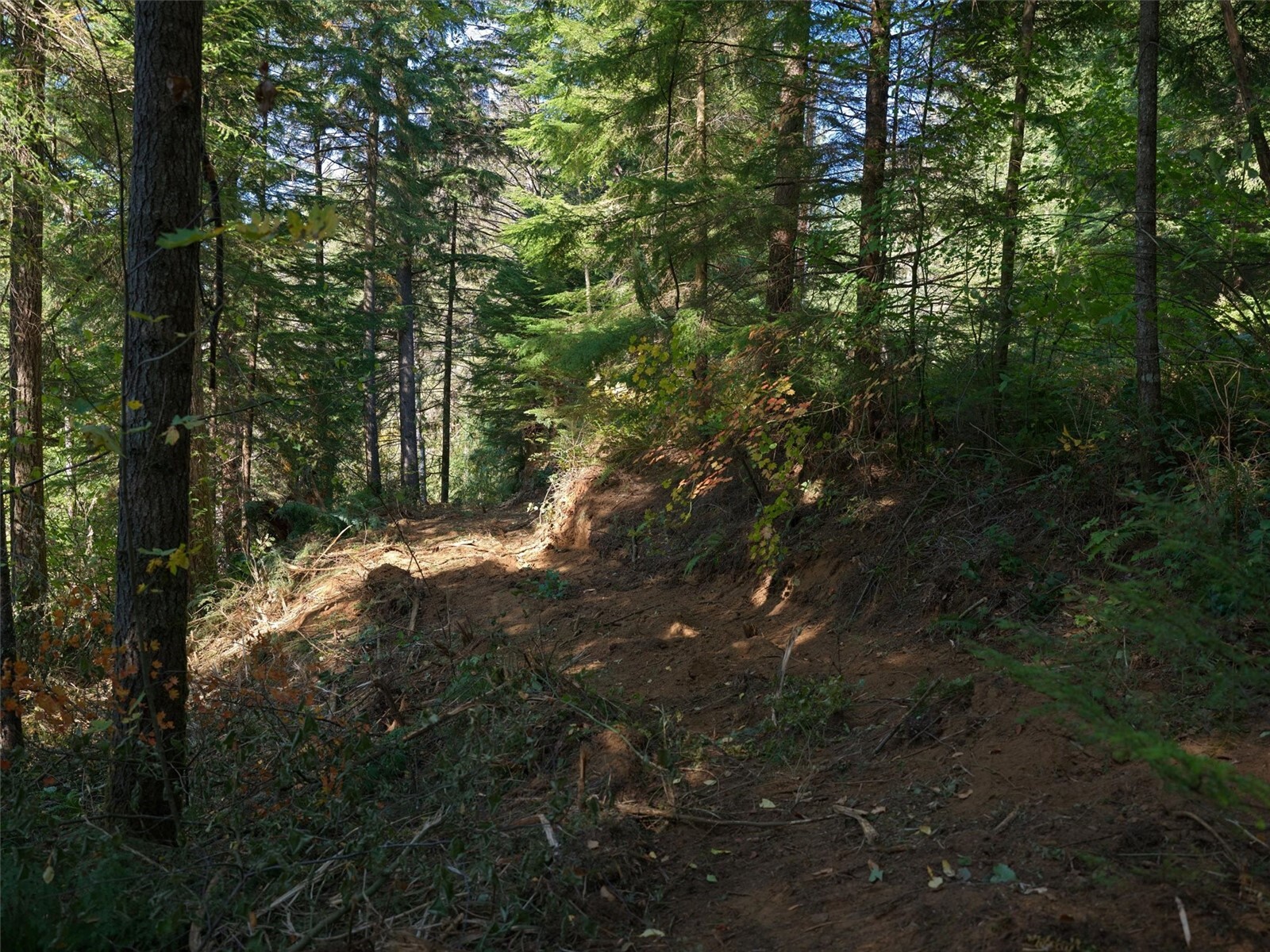 0 North Fork Road Property Photo 22