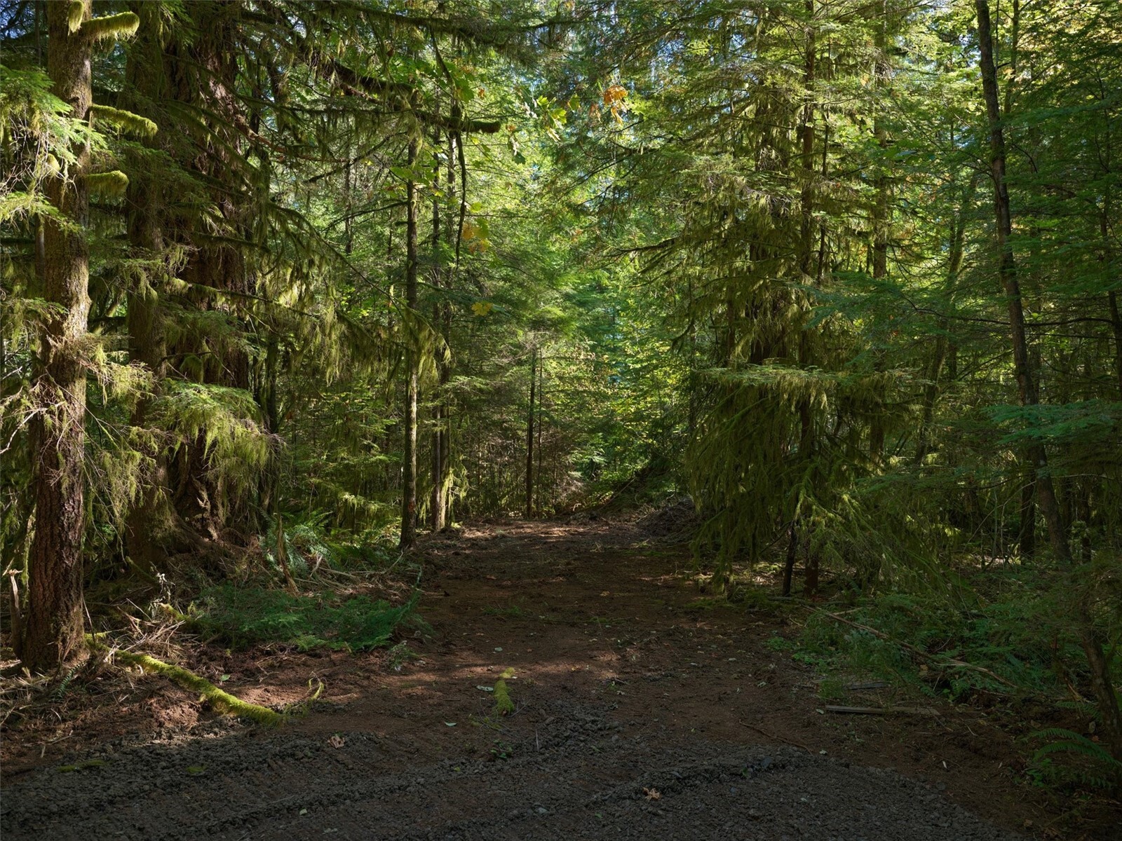 0 North Fork Road Property Photo 25