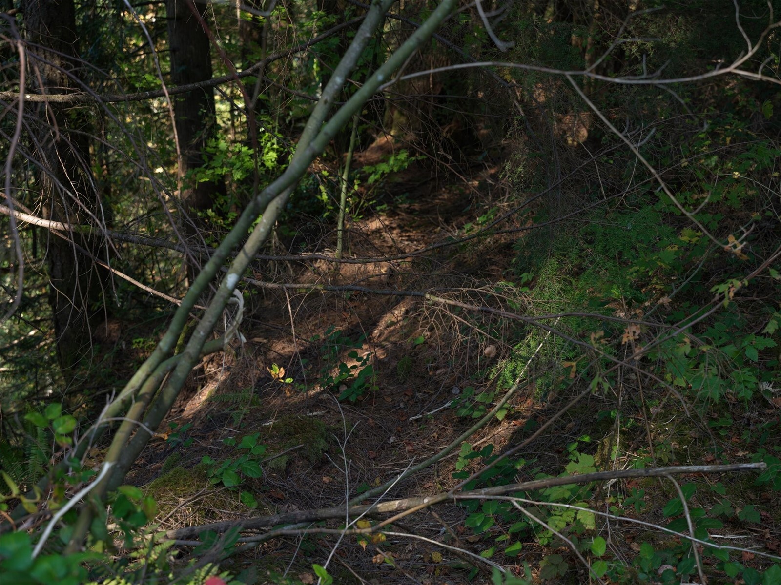 0 North Fork Road Property Photo 30