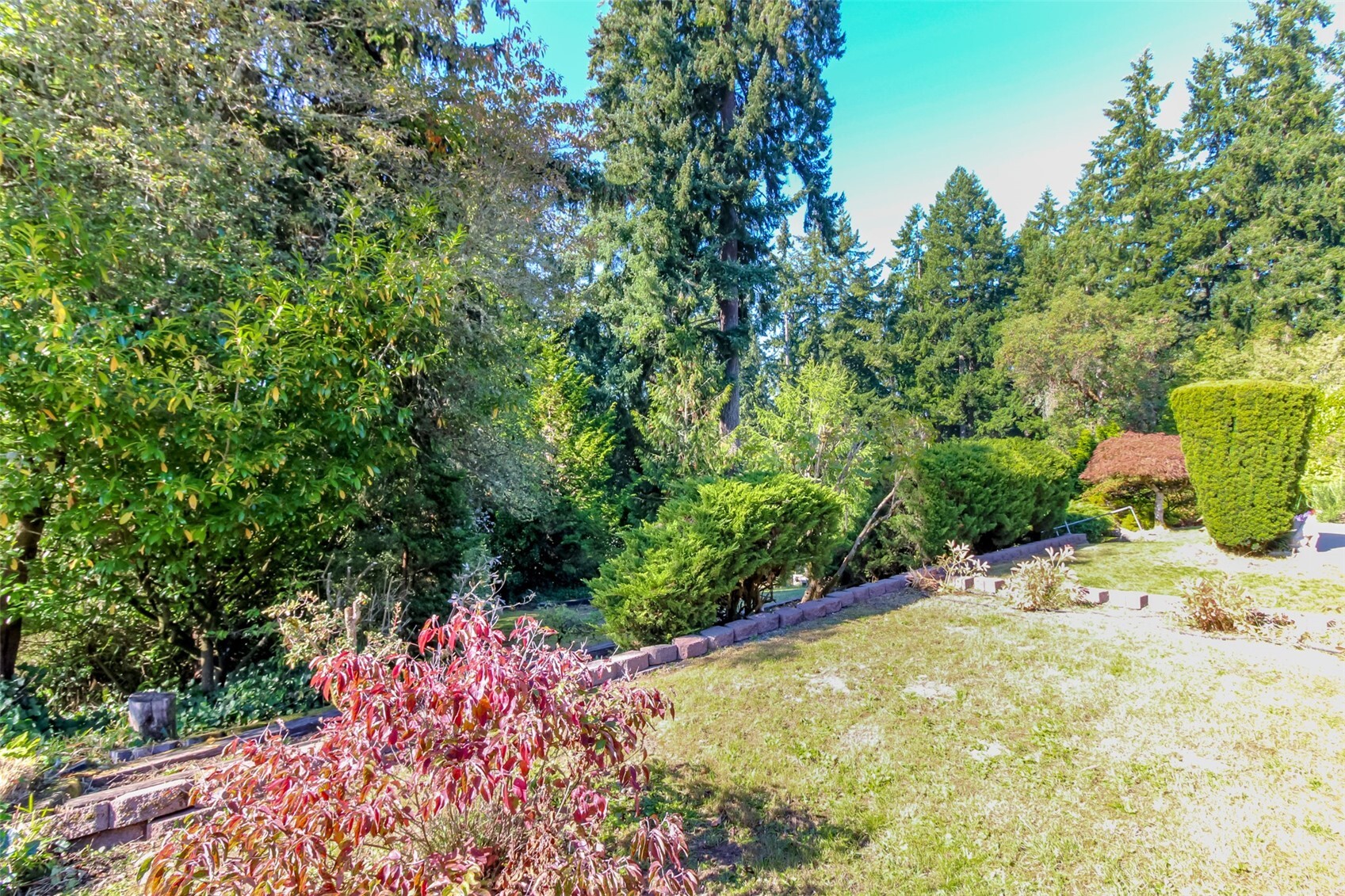 10526 Wauna Street Property Photo 38