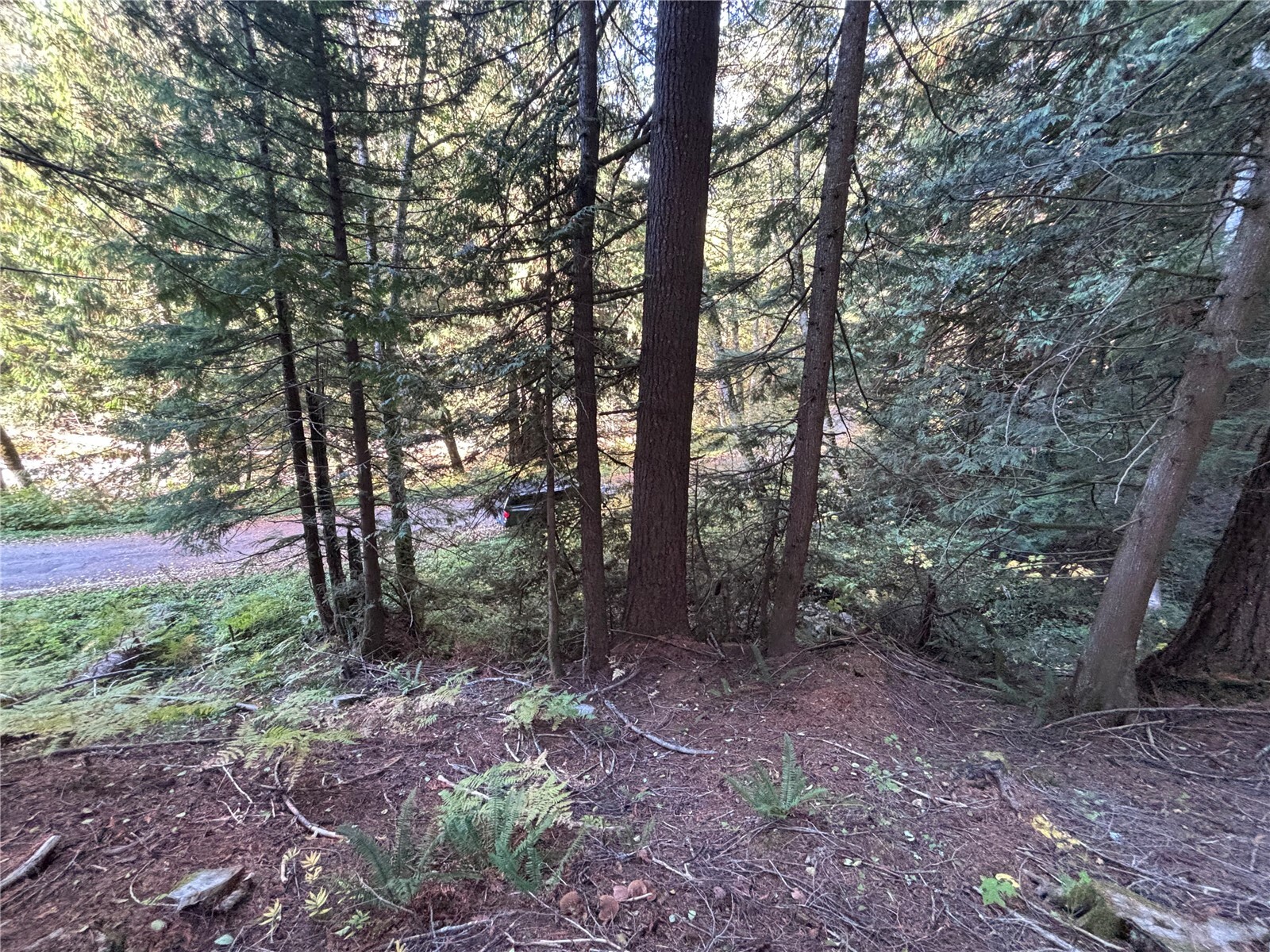 87422 Ne Old Cascade Highway Property Photo 2