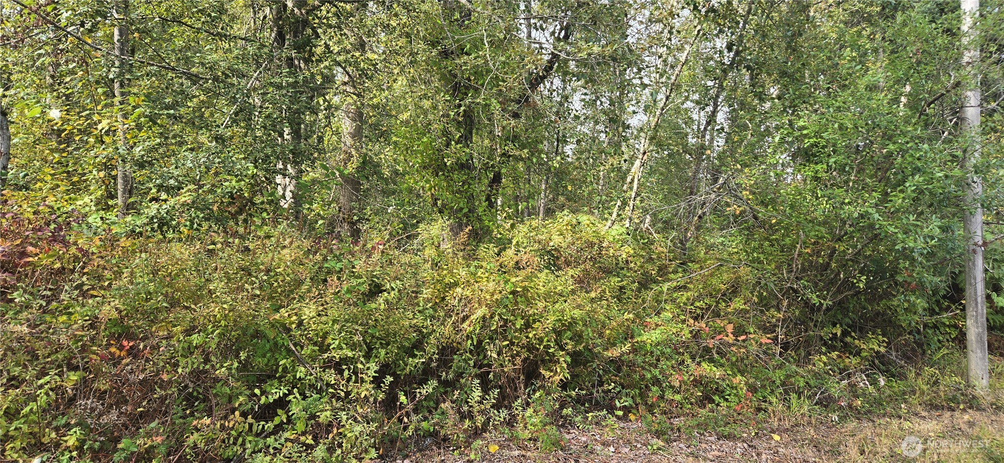12700 16th Avenue Property Photo 5