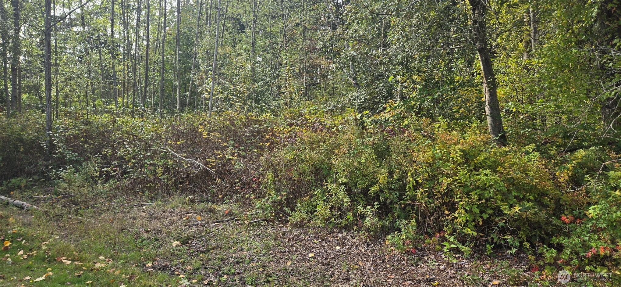 12700 16th Avenue Property Photo 8