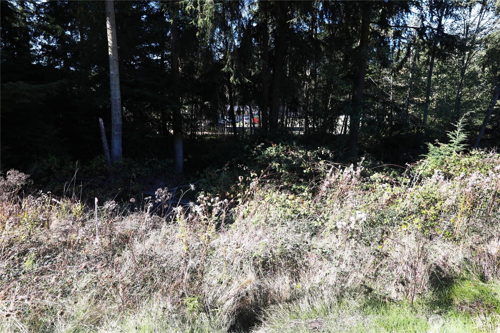 478 Mitchell Dr Property Photo 2