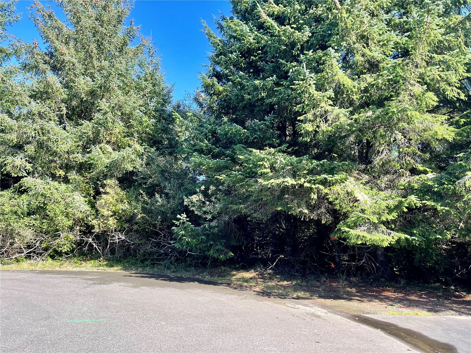 344 345 Redwood Court Property Photo 5