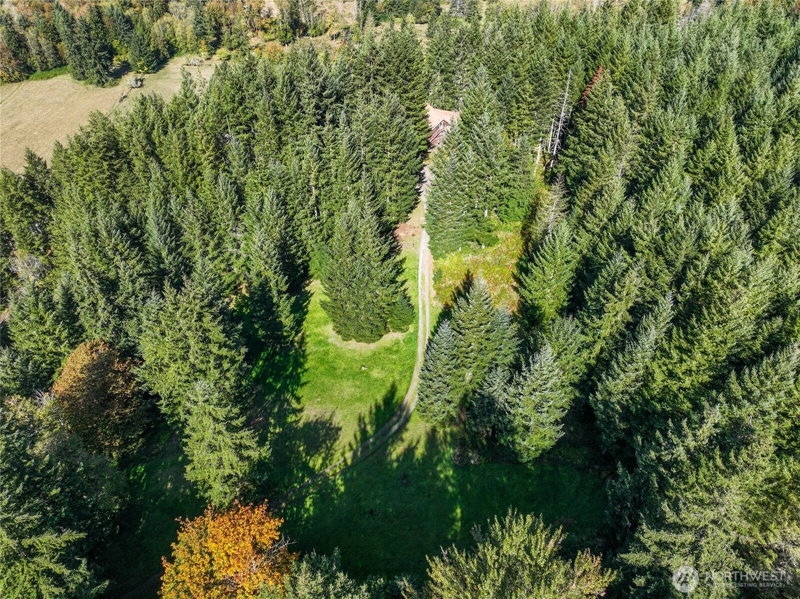 2594491 Property Photo 40