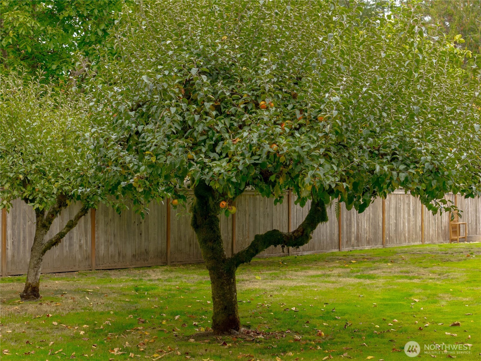 14220 50th Avenue Property Photo 33