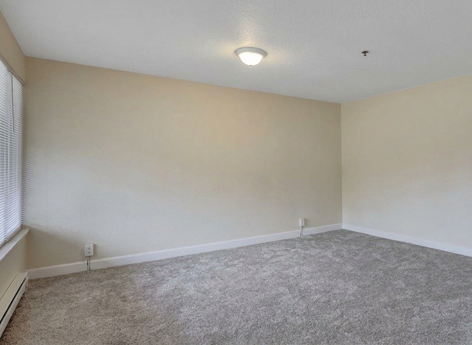 1120 113th Street 3 Property Photo 4
