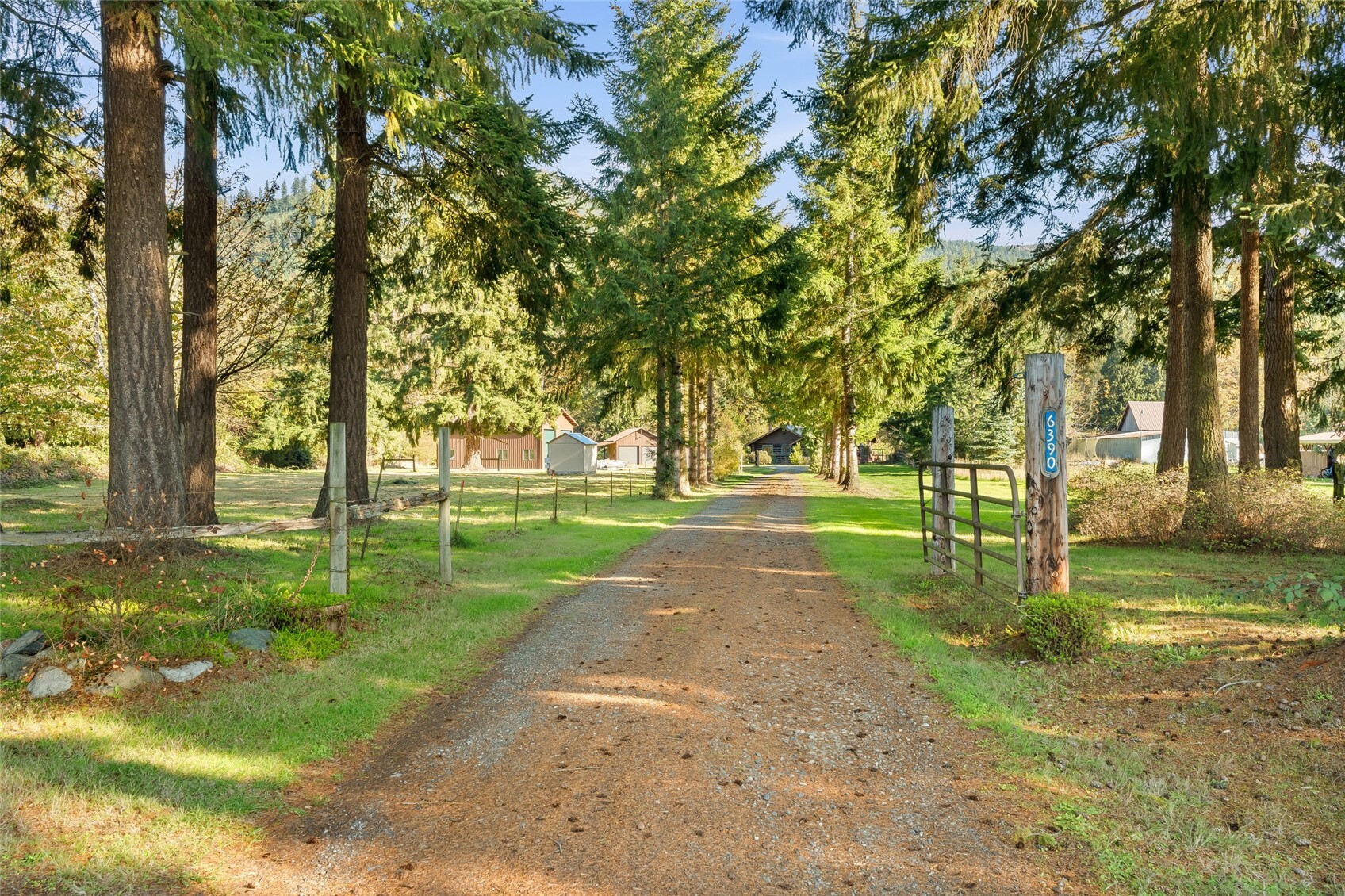6390 Siper Road Property Photo 30