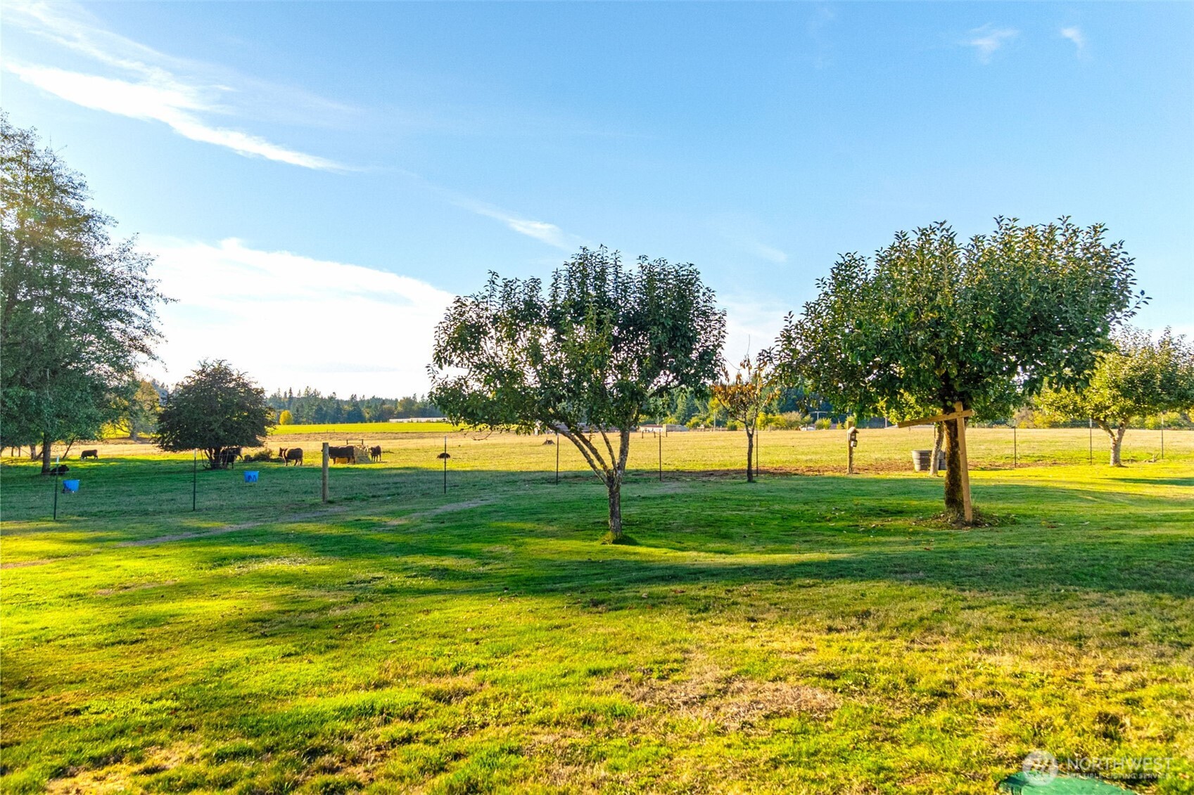 9445 Lundeen Road Property Photo 8