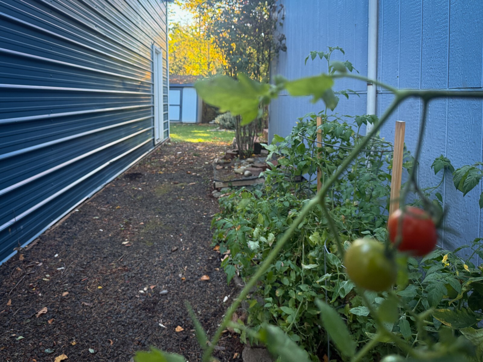139 Mcclellan Street Property Photo 8