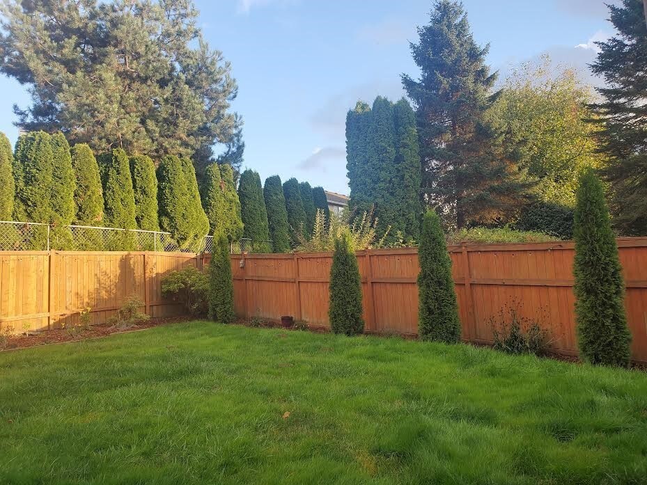 18718 111th Place Property Photo 22