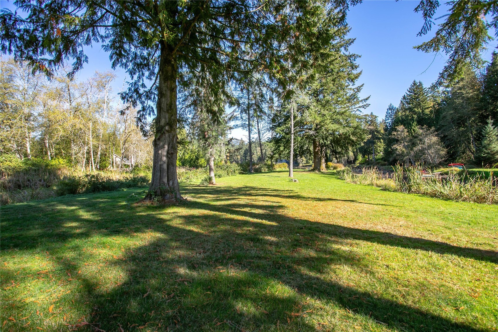 565 Rainbow Drive Property Photo 35
