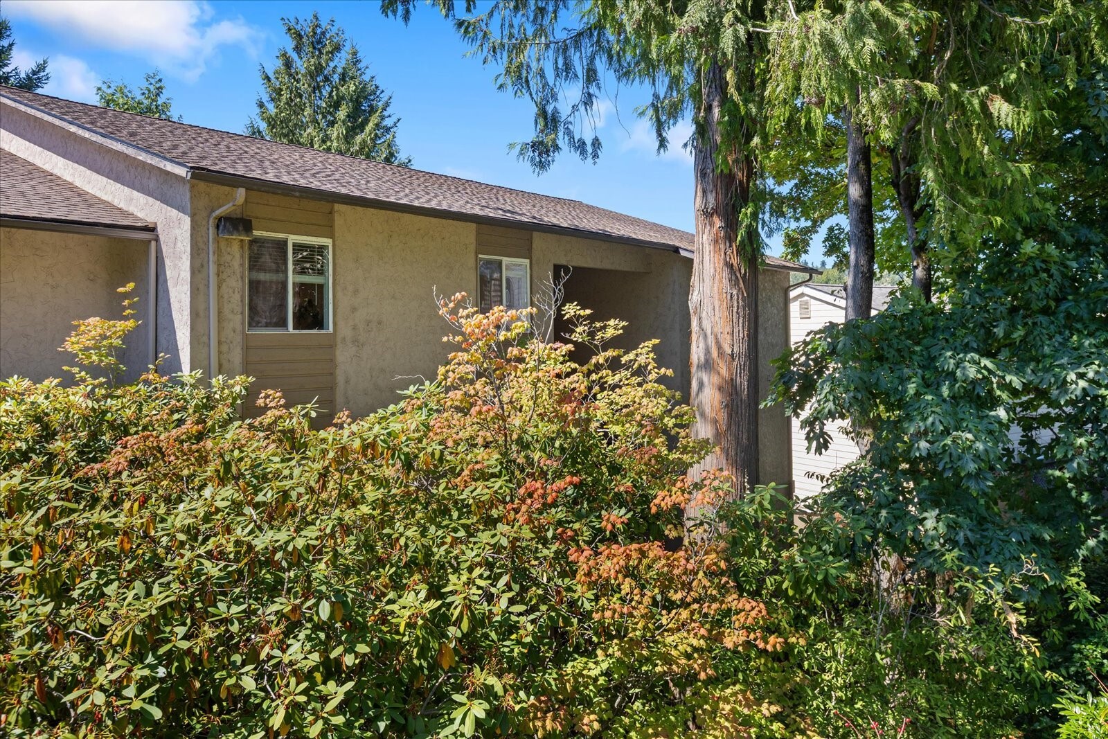 11637 100th Avenue 2c Property Photo 2