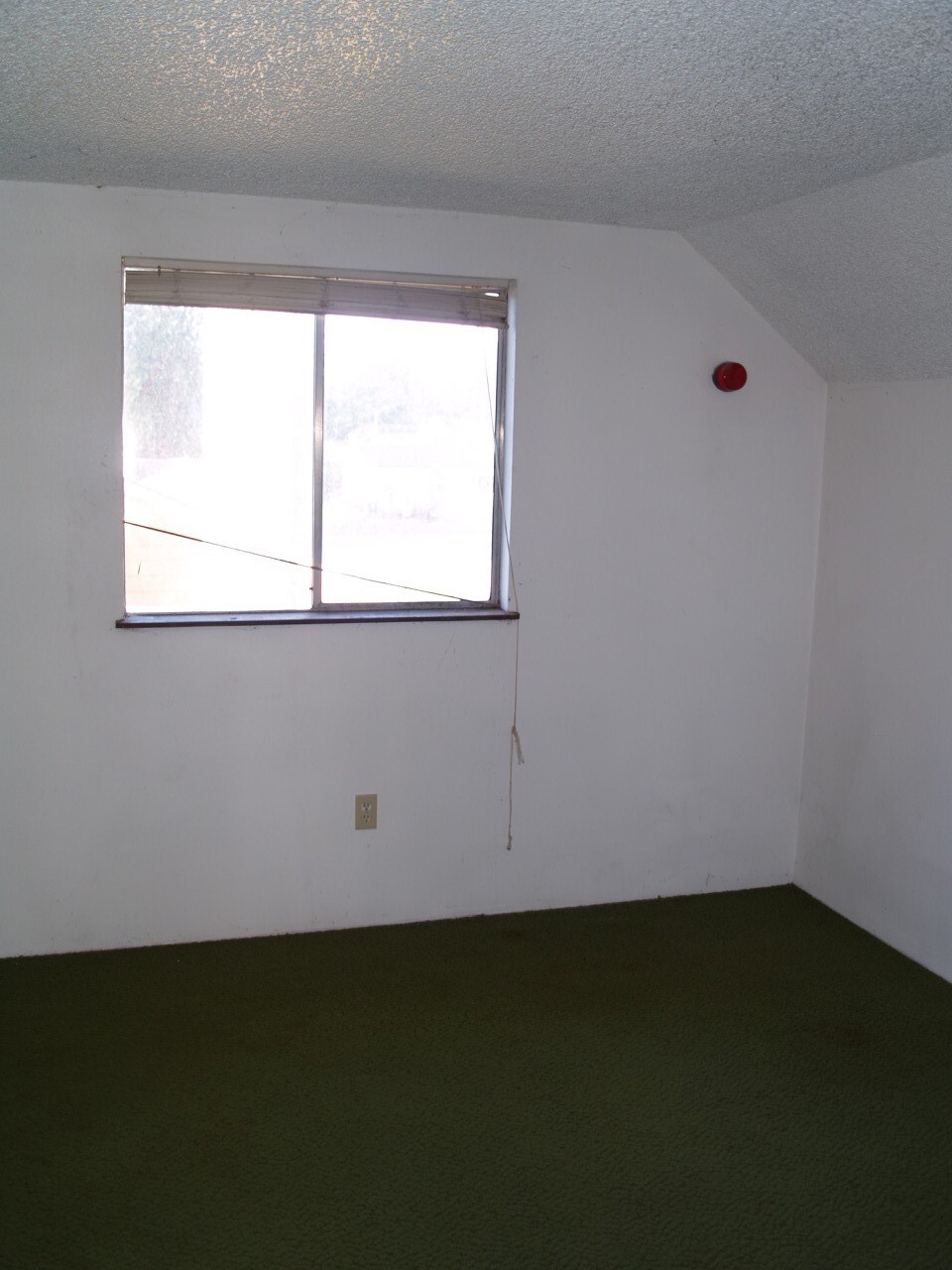 2854 Se Arie Court Property Photo 38
