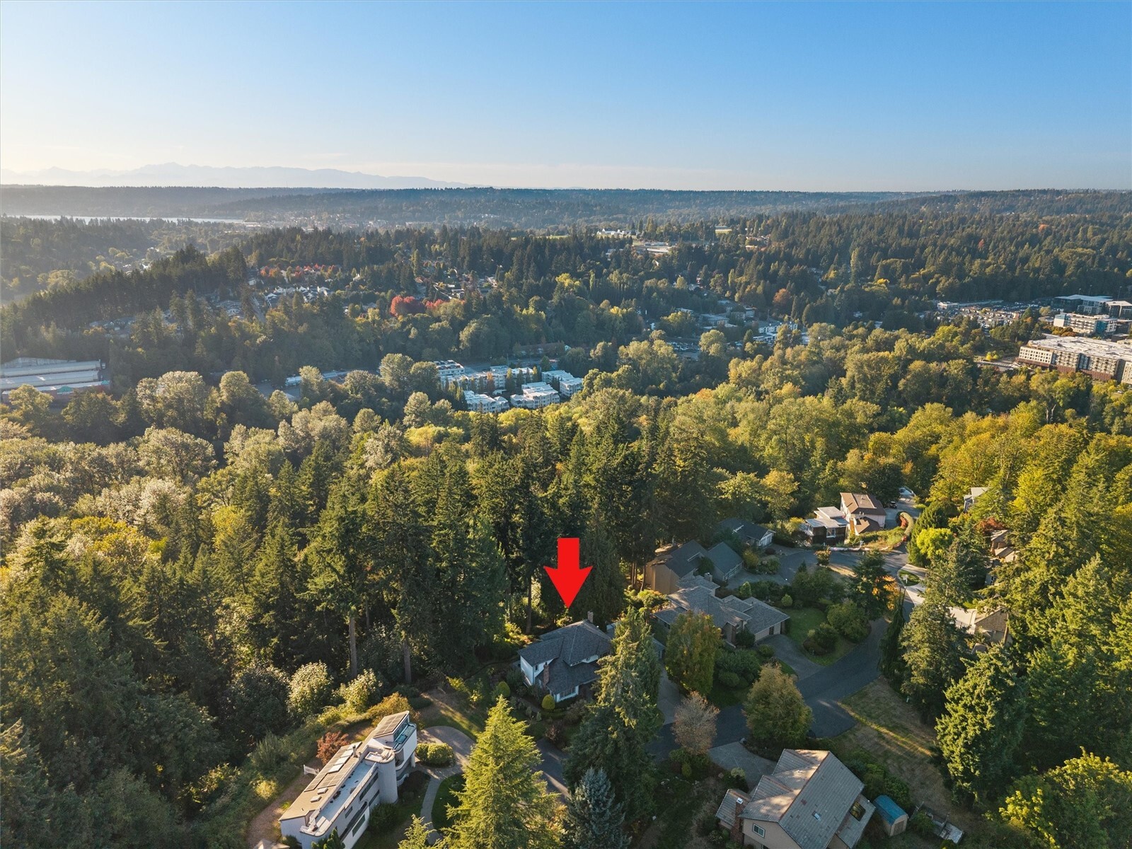 17315 102nd Avenue Property Photo 4