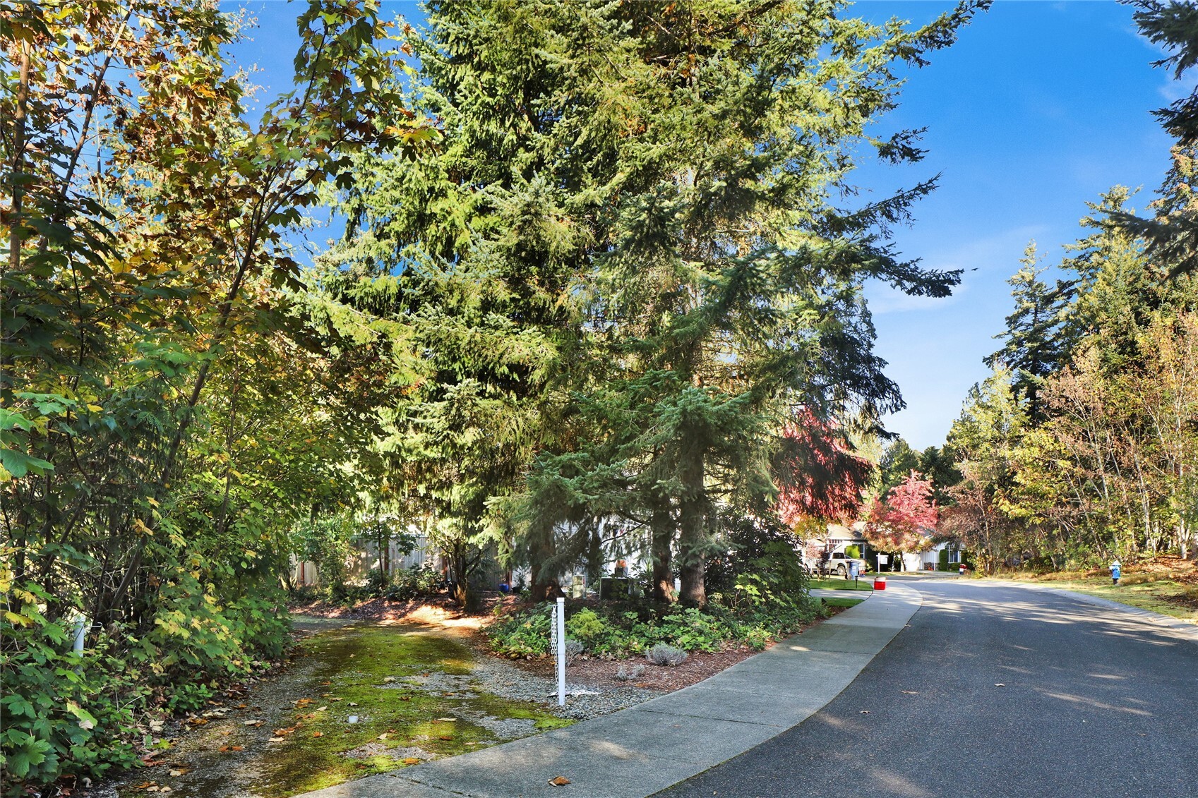 229 Creekview Crest Property Photo 30
