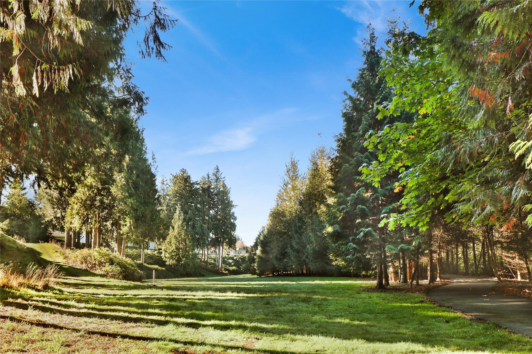 229 Creekview Crest Property Photo 31