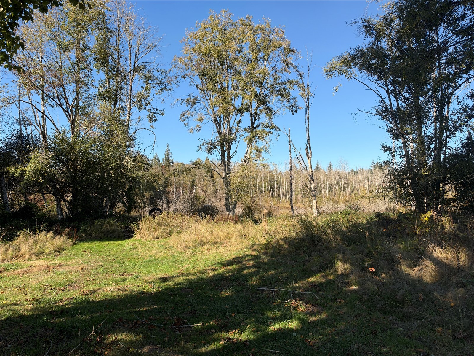 6137 Kirsop Road Property Photo 8