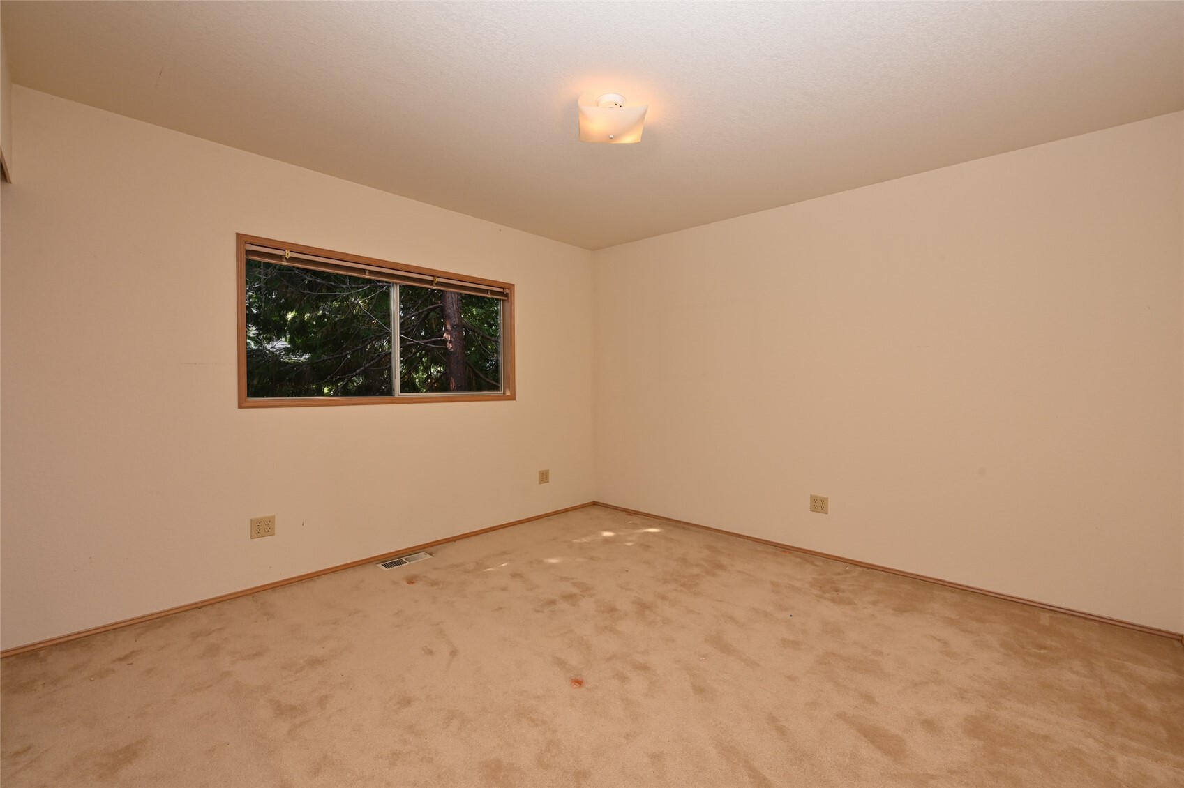 4407 30th Avenue Property Photo 19
