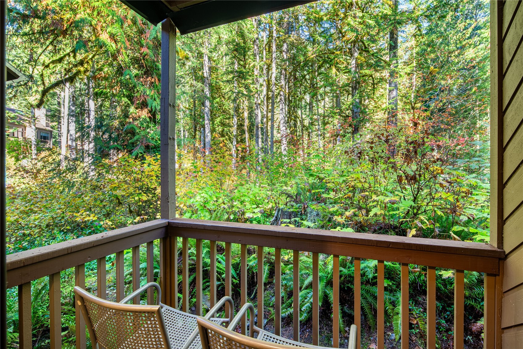 10500 Mount Baker Hwy 413 Property Photo 1