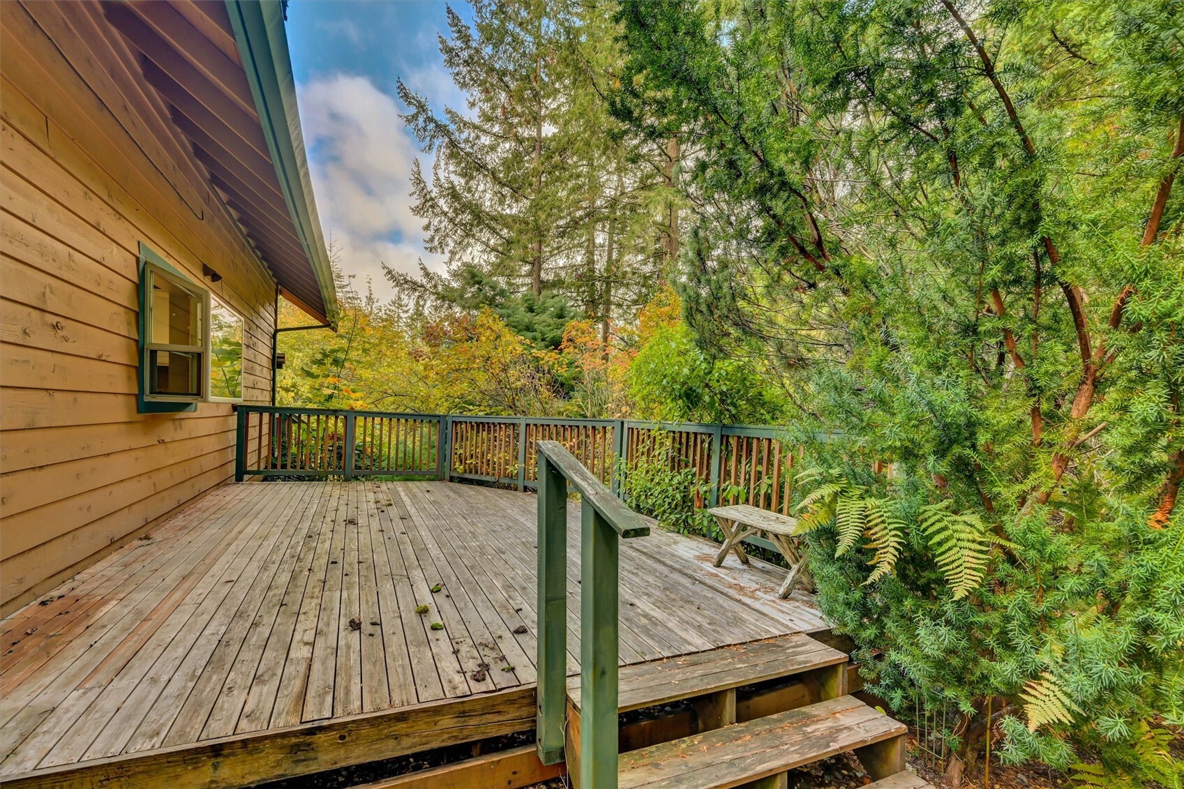 4511 Murphy Drive Property Photo 11