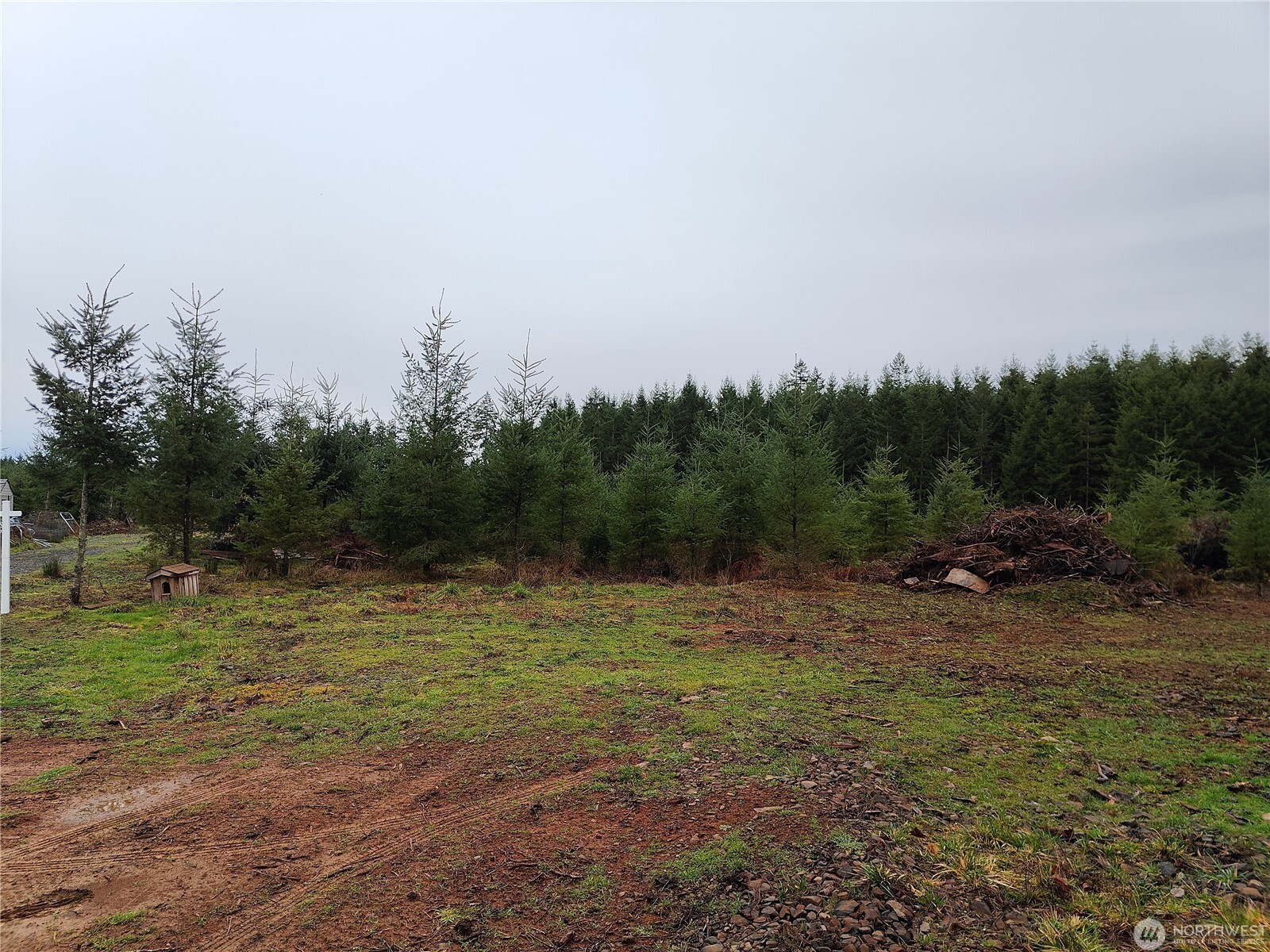 196 Allman Road Property Photo 11
