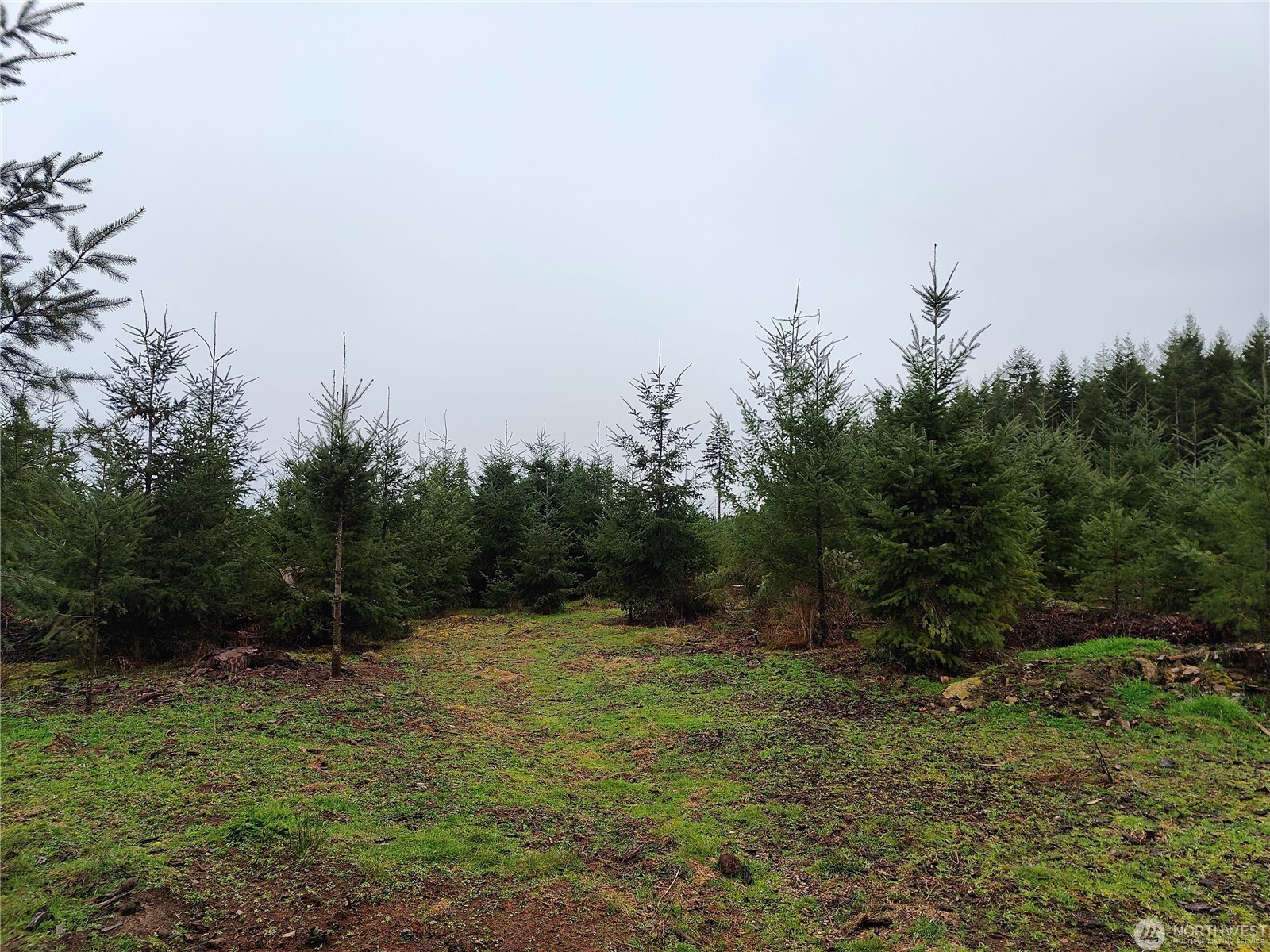 196 Allman Road Property Photo 12