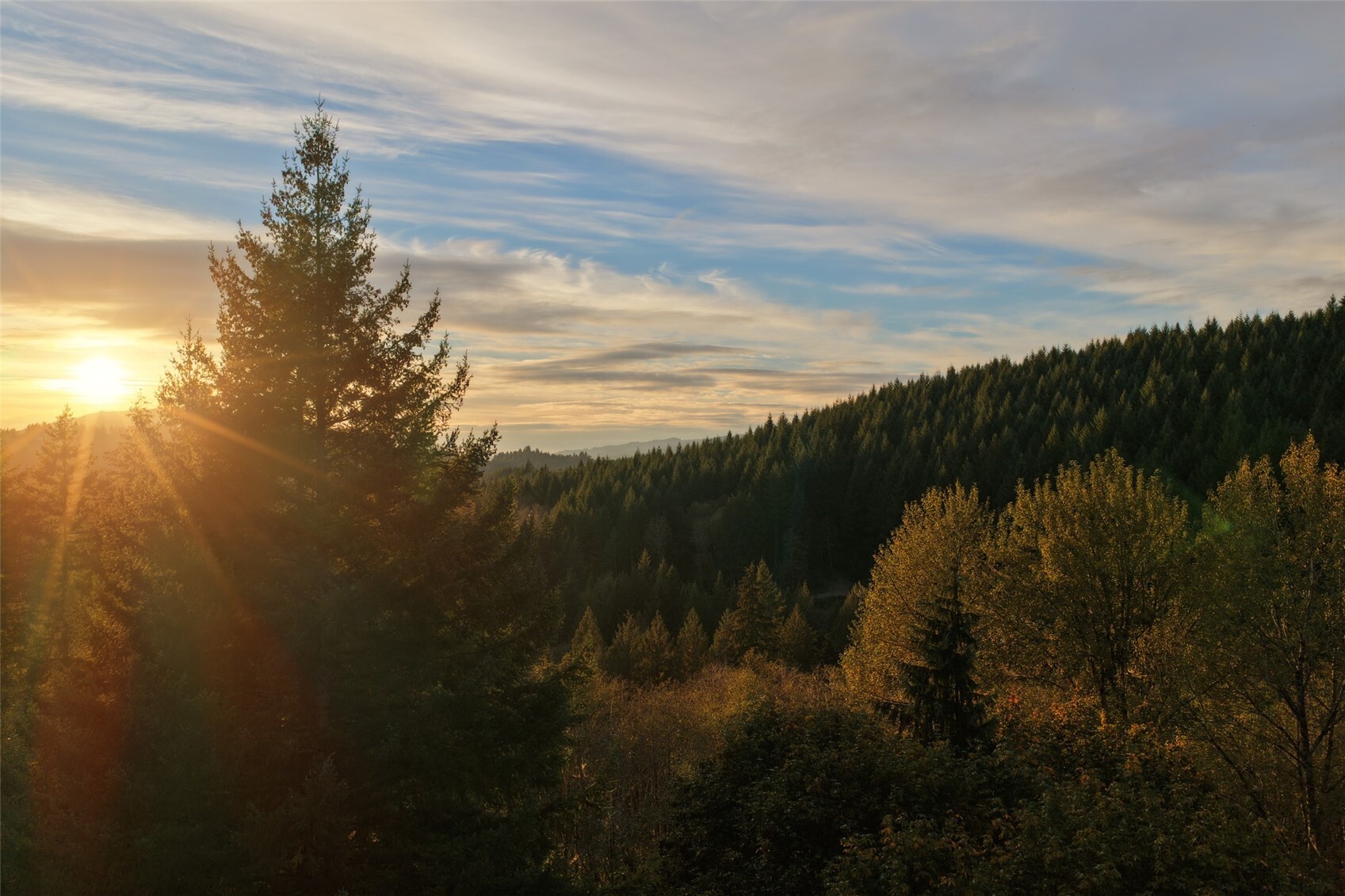 17808 Ne Cedar Creek Road Property Photo 4