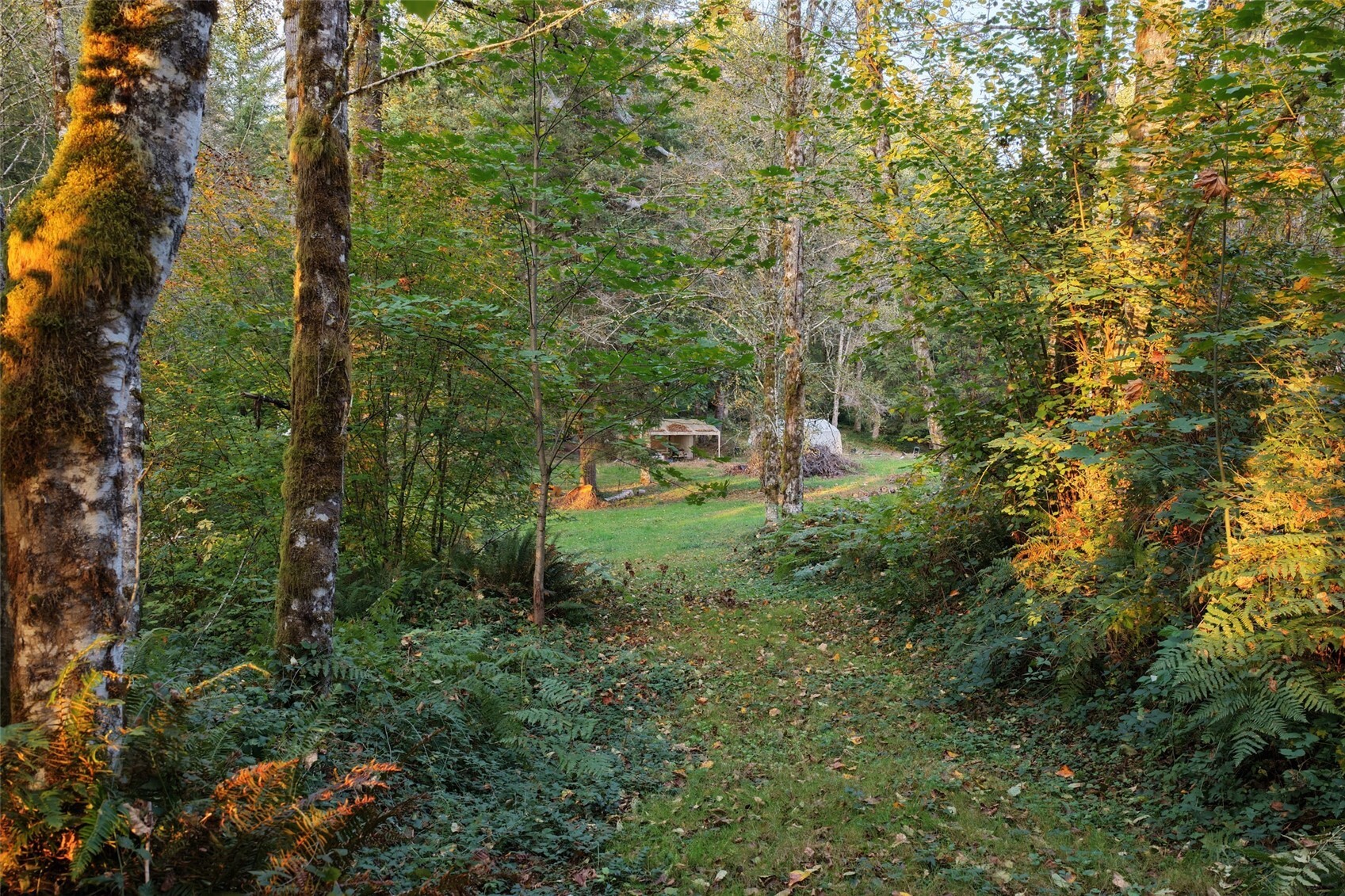 17808 Ne Cedar Creek Road Property Photo 5