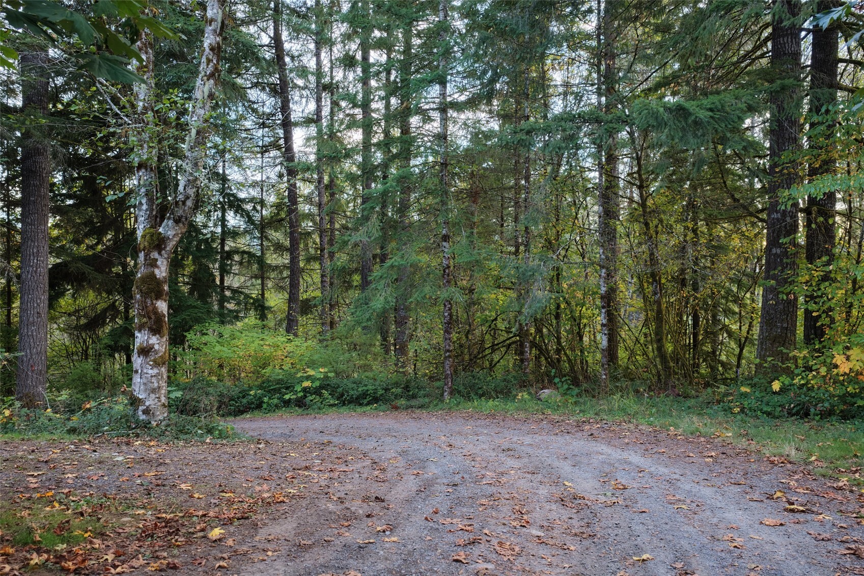 17808 Ne Cedar Creek Road Property Photo 7
