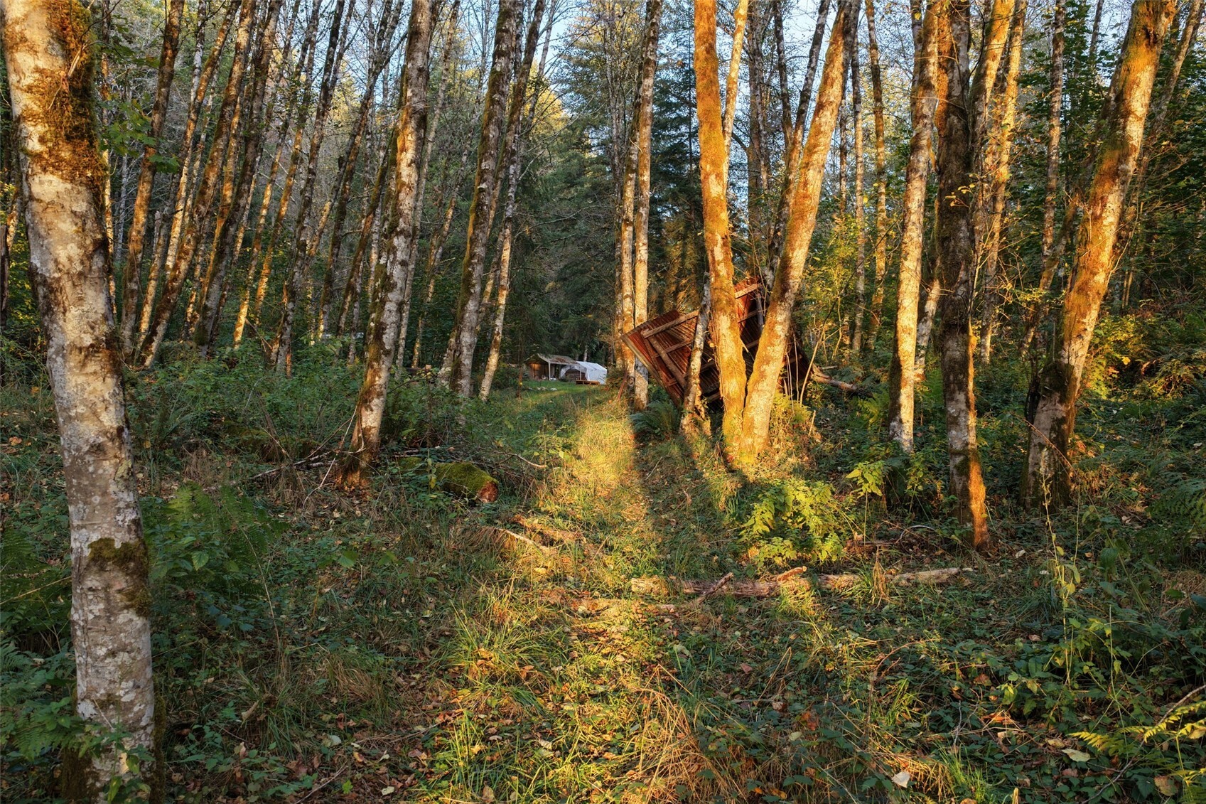 17808 Ne Cedar Creek Road Property Photo 10