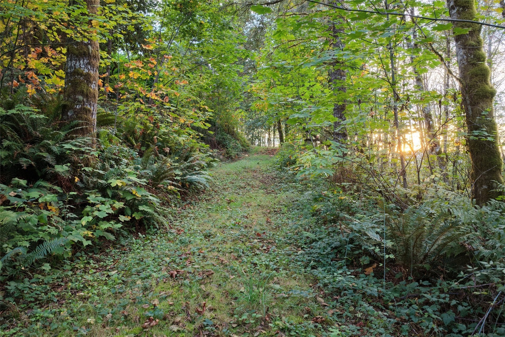 17808 Ne Cedar Creek Road Property Photo 15