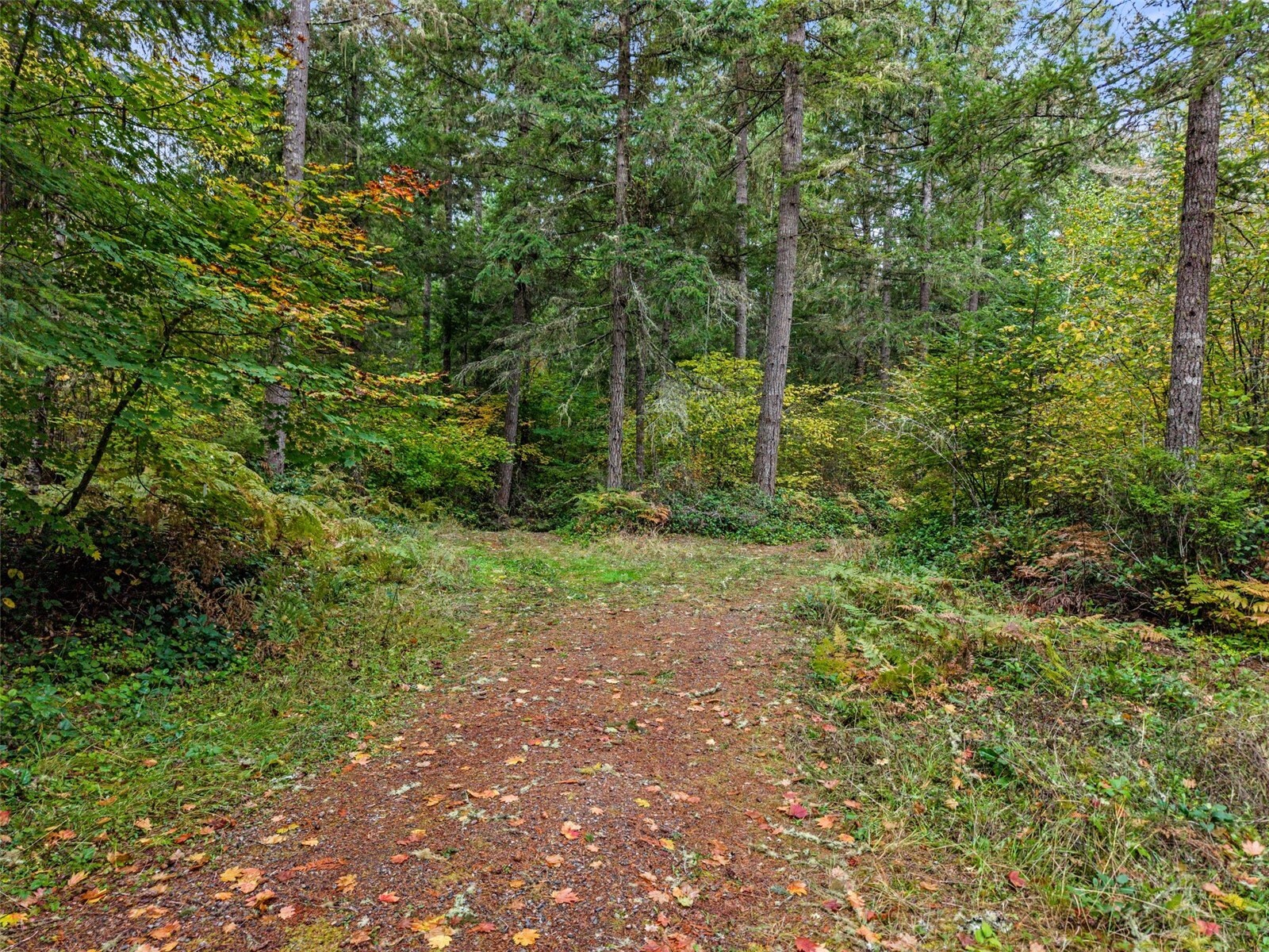 13041 Black Bear Lane Property Photo 3