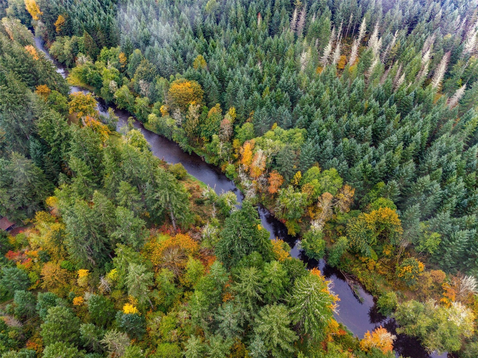 13041 Black Bear Lane Property Photo 4