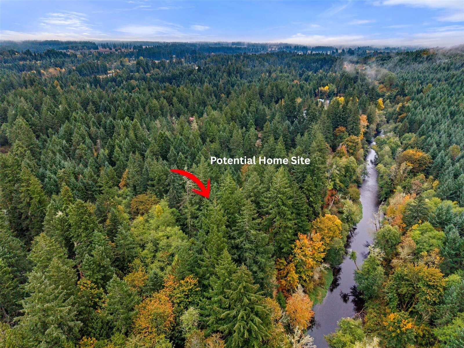 13041 Black Bear Lane Property Photo 5