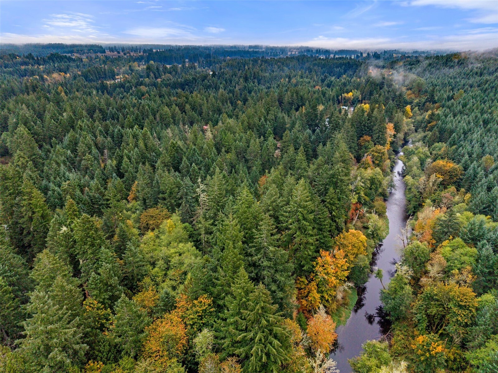 13041 Black Bear Lane Property Photo 6