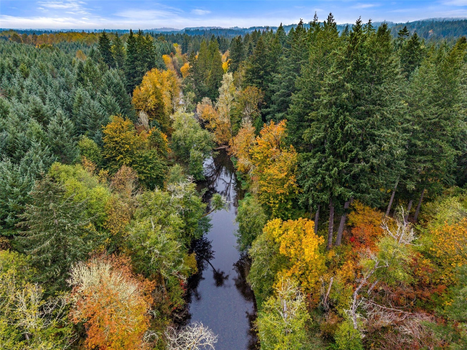 13041 Black Bear Lane Property Photo 8