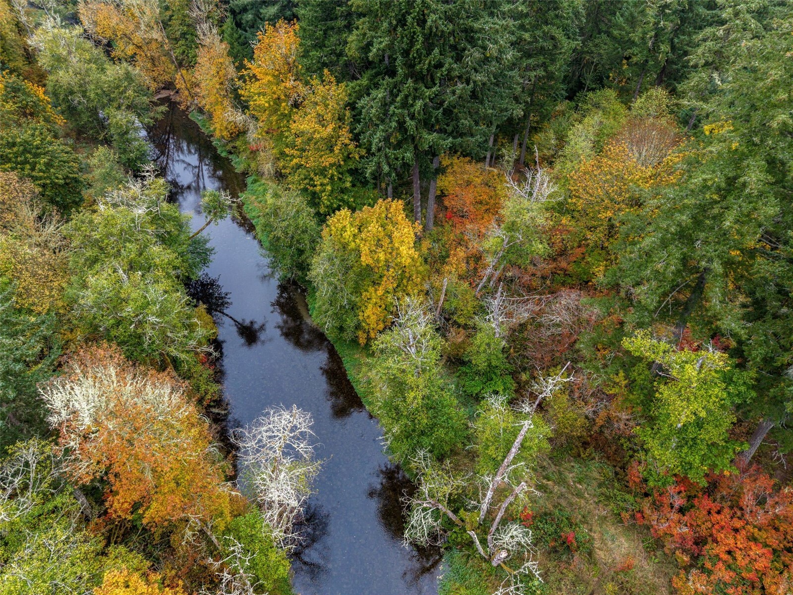 13041 Black Bear Lane Property Photo 9