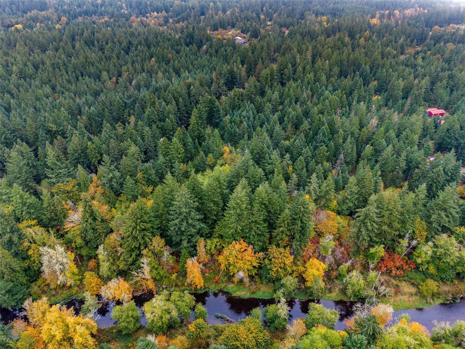13041 Black Bear Lane Property Photo 10