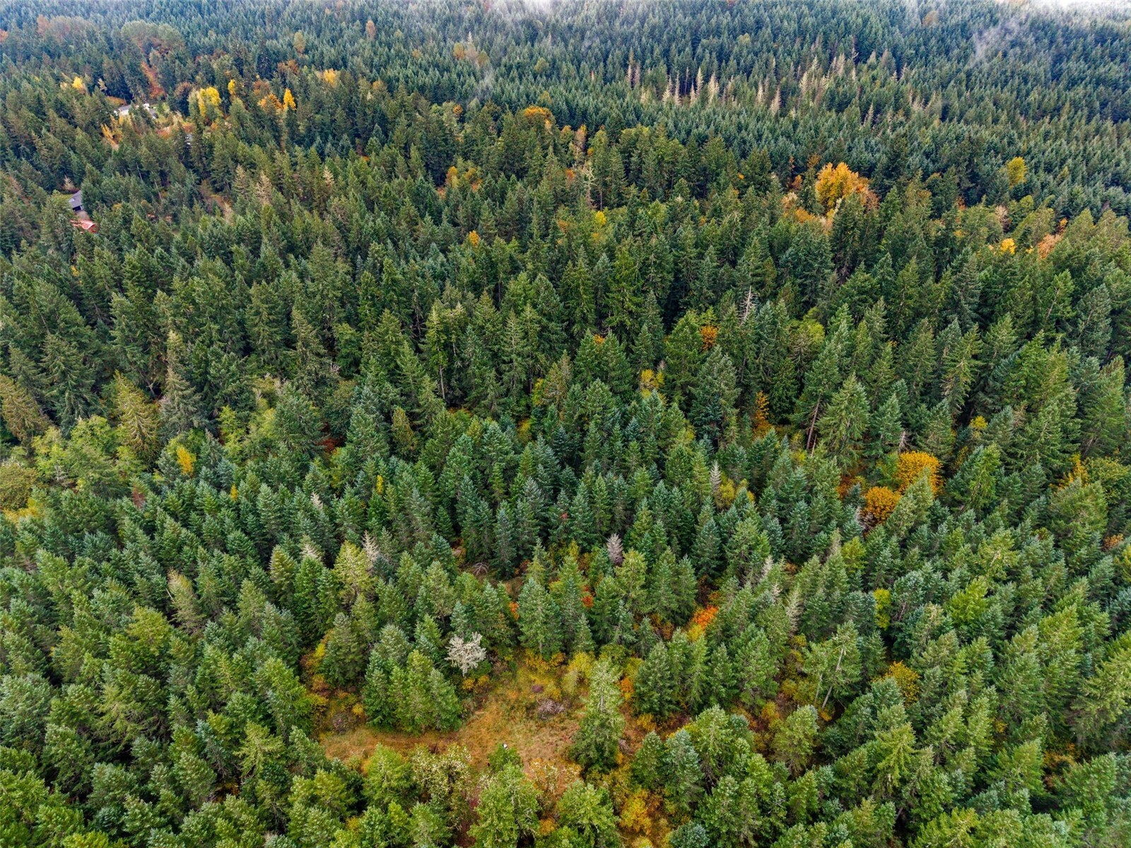 13041 Black Bear Lane Property Photo 11