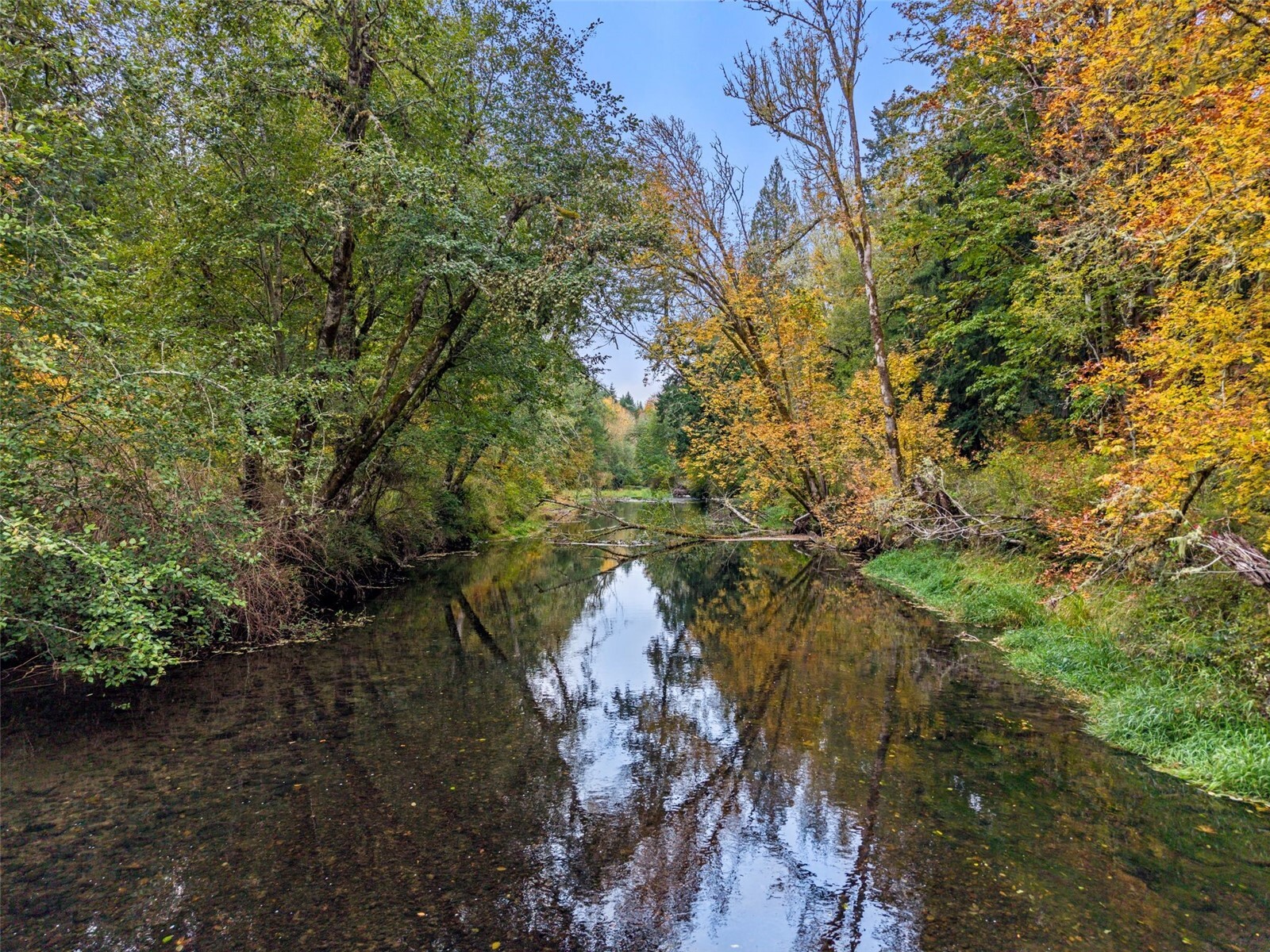 13041 Black Bear Lane Property Photo 14